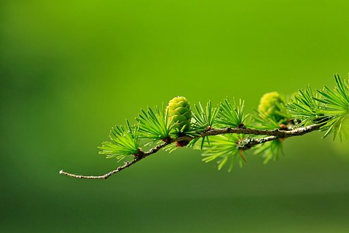 笔组词一年级简单,笔字的组词