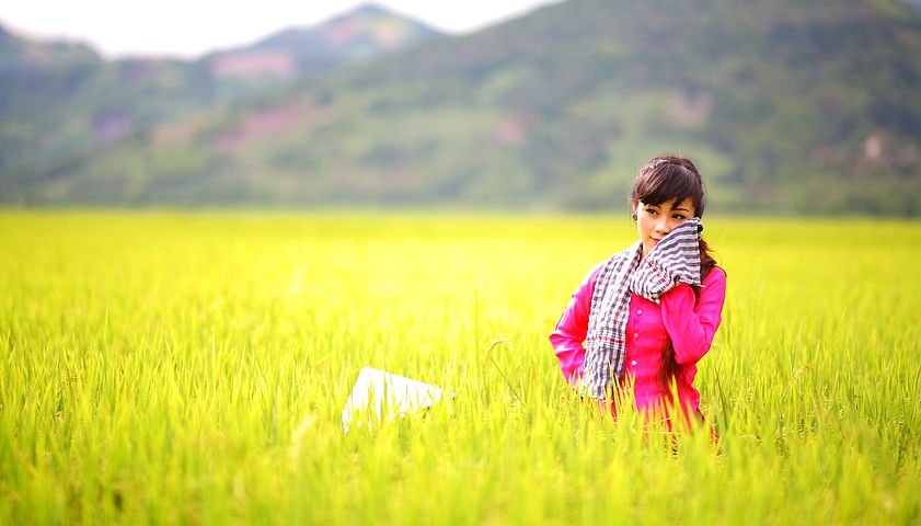 美国女足晋级决赛，美国女足晋级决赛众望所归体坛资讯